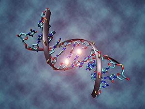 "DNA methylation" by Christoph Bock (Max Planck Institute for Informatics) is licensed under CC BY-SA 3.0 via Wikimedia.