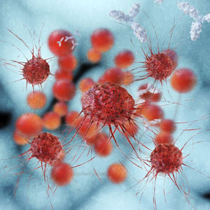 3D-rendered illustration of cancer cells. Elotuzumab is a monoclonal antibody that attaches to SLAM7F on the surface of both myeloma cells and immune cells called natural killer cells.